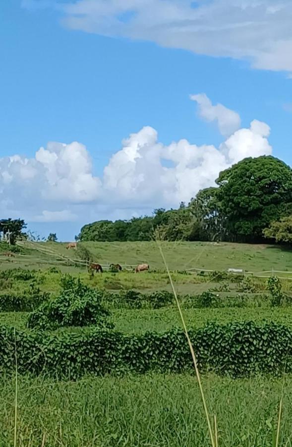 L'Ecrin Vert Sainte-Anne  Exteriör bild